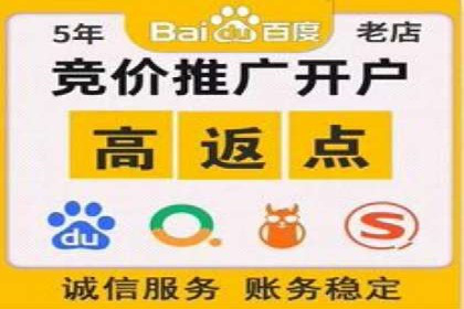竞价广告的胜利：网络推广在金融行业的经典案例